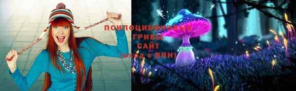 мескалин Гусь-Хрустальный