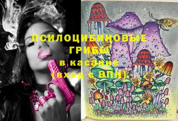 мескалин Гусь-Хрустальный